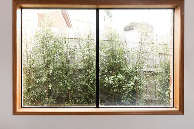 wood-aluminum windows